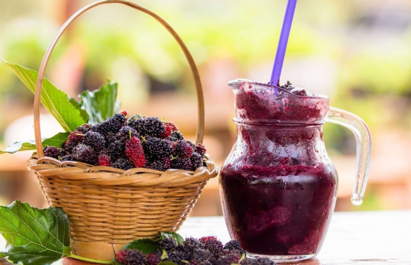 Karadut bu hastalıklara iyi geliyor her fırsatta bol bol tüketin - Resim: 4