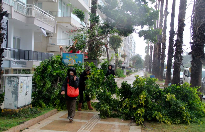 İzmir'de denizin rengi değişti, ağaçlar devrildi! Sağanak yağış dev dalgalar oluşturdu - Resim: 3