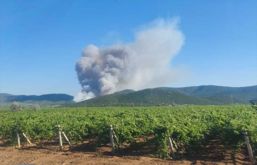 İbrahim Yumaklı açıkladı: 10 yangından 7'si kontrol altında - Resim: 4