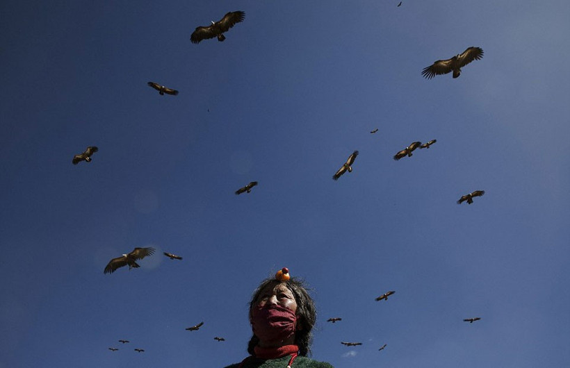 Ölüleri yedirmek için akbabaları bekliyorlar! - Resim: 1