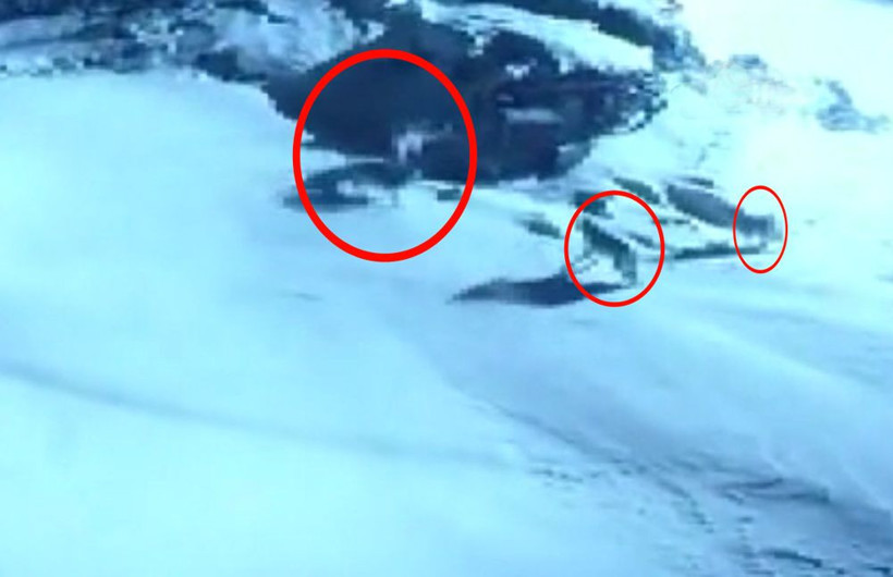 Köye inip dehşet saçtılar! Ev sahibi ayakkabısını bile giymeden dışarı koştu - Resim: 2