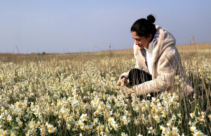 Kesin korunacak hassas alan ilan edildi! Adana'da görenler hayran kaldı: Milyonlarca var - Resim: 3