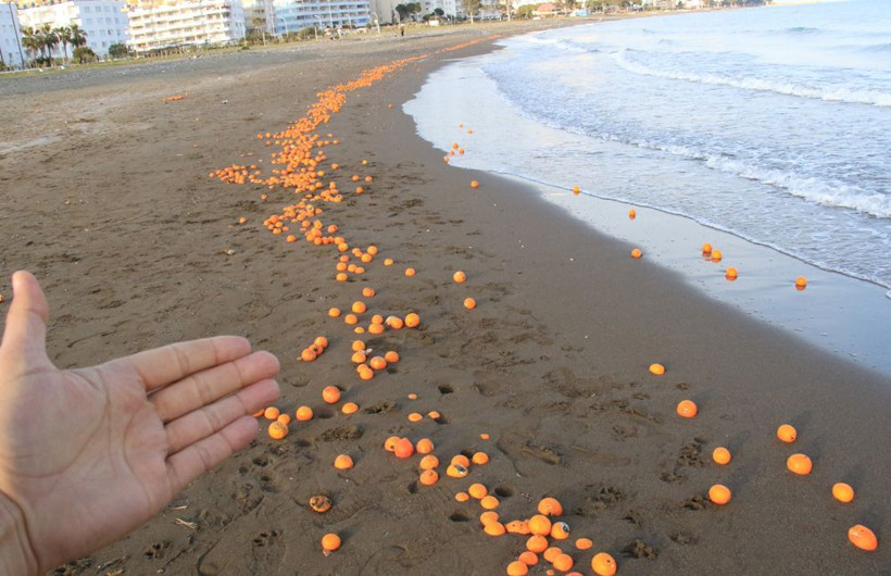 Sahilde şaşkına çeviren görüntü! Dalgalar hepsini kumsala taşıdı - Resim: 4
