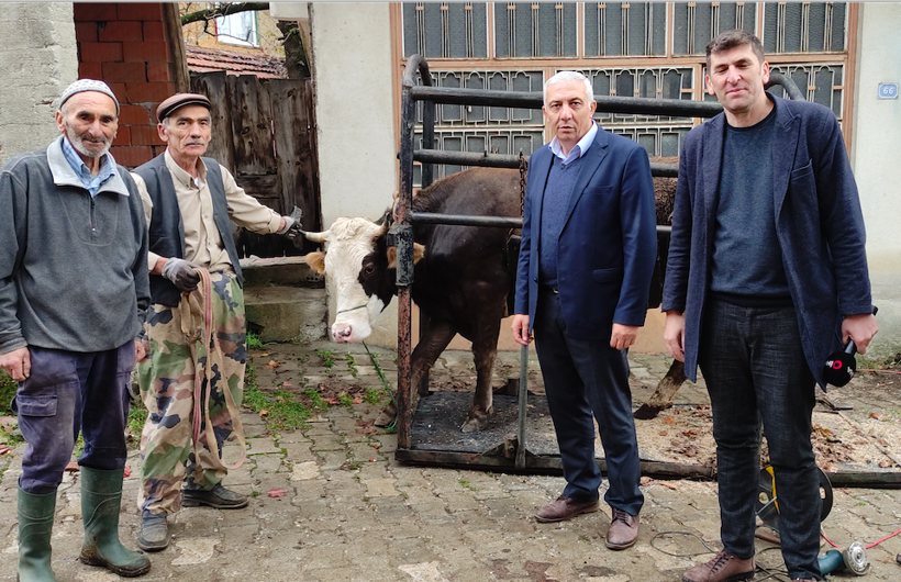 Bu işi yapan tek kişi! İneklere öyle bir şey yapıyor ki süt fışkırıyor - Resim: 1