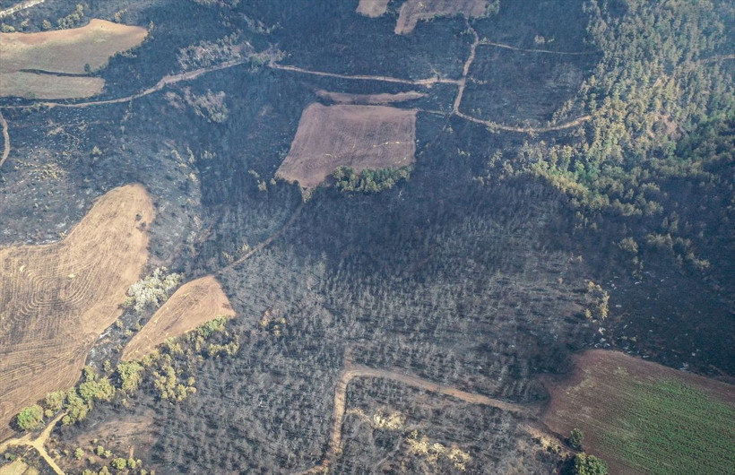 Bilecik'te orman yangınında zarar gören alanlar dronla görüntülendi - Resim: 4