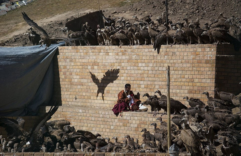 Ölüleri yedirmek için akbabaları bekliyorlar! - Resim: 4