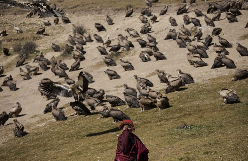 Ölüleri yedirmek için akbabaları bekliyorlar! - Resim: 3