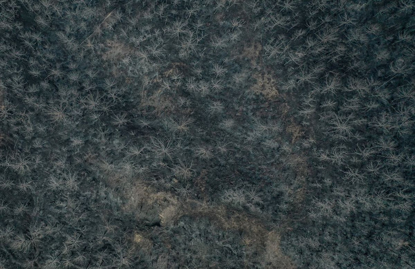 Bilecik'te orman yangınında zarar gören alanlar dronla görüntülendi - Resim: 10