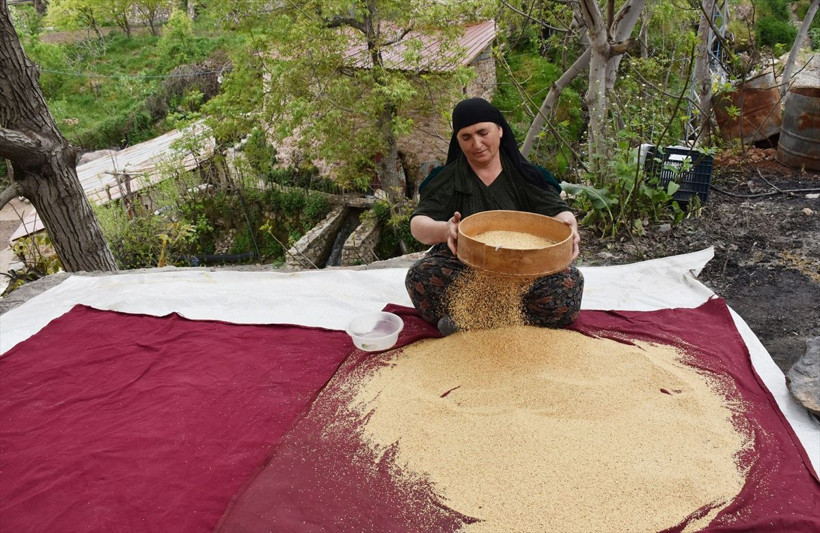 Hakkari'de üretti ünü dünyaya yayıldı! ABD, İran, İsviçre, İngiltere'den sipariş yağıyor - Resim: 4