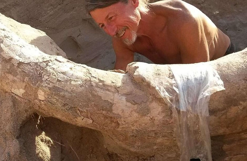 9 yaşındaki çocuk tesadüfen buldu bilim dünyası şokta - Resim: 3