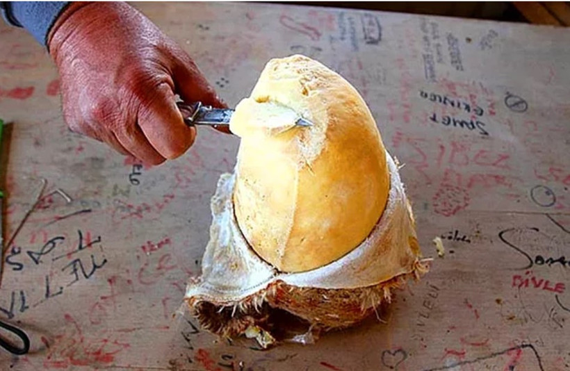 Dünya bu peynirin peşinde: Divle Obruk Peyniri - Resim: 4