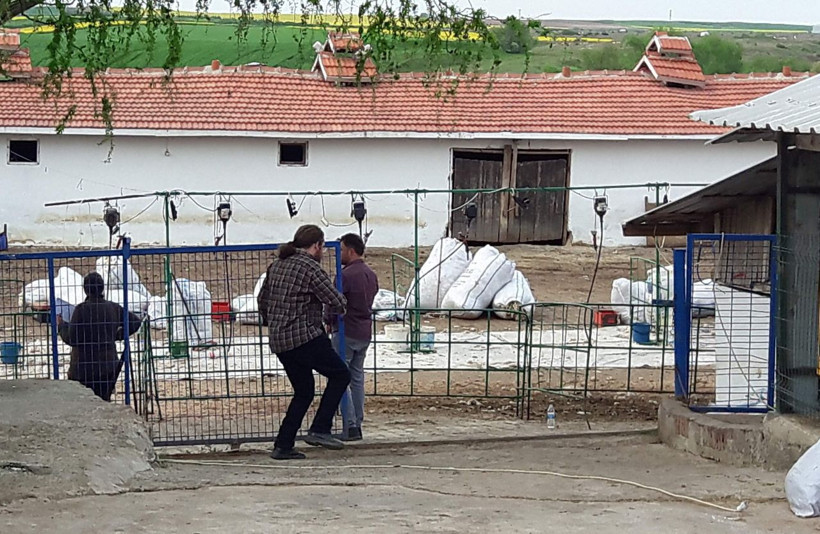 Koyun kırkma sırasında elektrik akımına kapıldılar: 1 ölü, 10 yaralı - Resim: 3