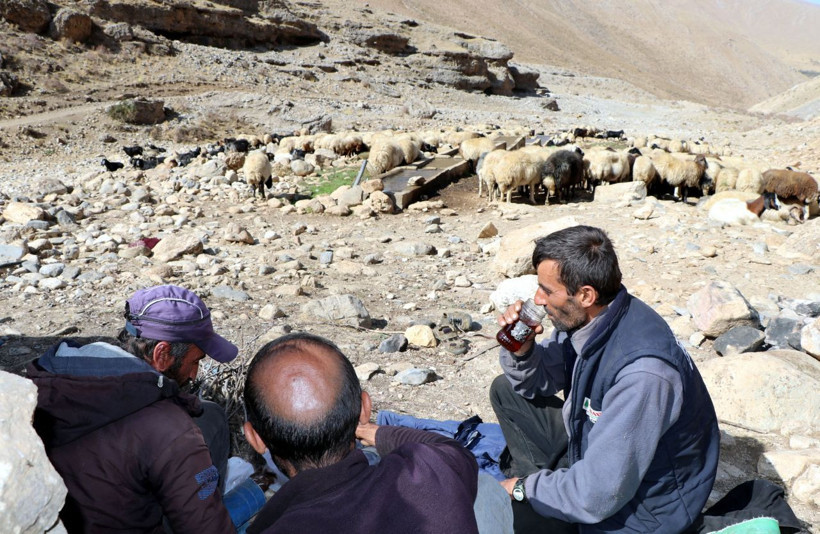 Van ve Hakkari'den dönüş başladı yolculuk koyunlarla birlikte 1 ay sürecek - Resim: 1