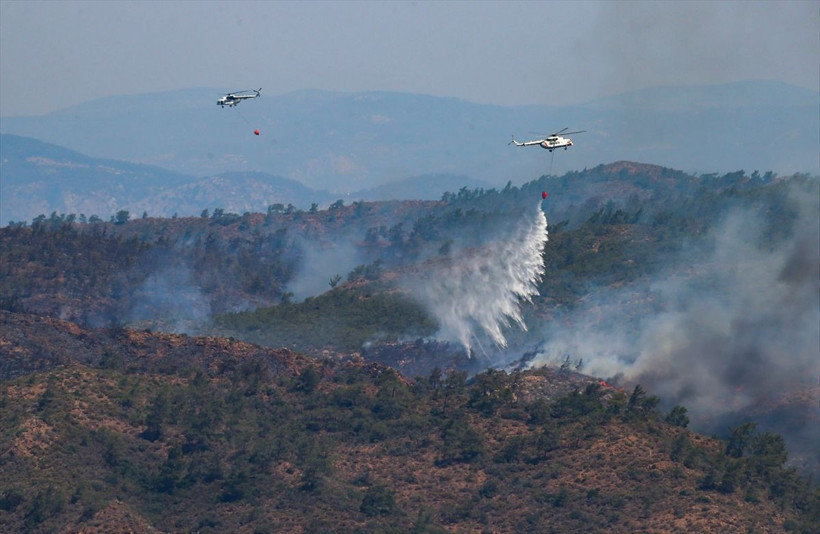 Marmaris orman yangınında son durum ne? Orman yangını devam ediyor mu? İşte yangın bölgesindeki son gelişmeler - Resim: 2