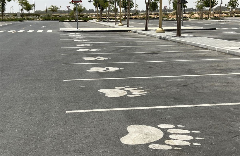 Ortadoğu'da bir ilk! Katar'ın sevimli pandaları! - Resim: 3