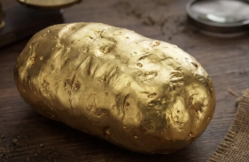 Yıllardır kimse böylesini görmedi! Patates sandı servet çıktı! - Resim: 7