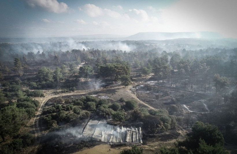 Çanakkale'deki yangından geriye kalan çok acı kareler - Resim: 3