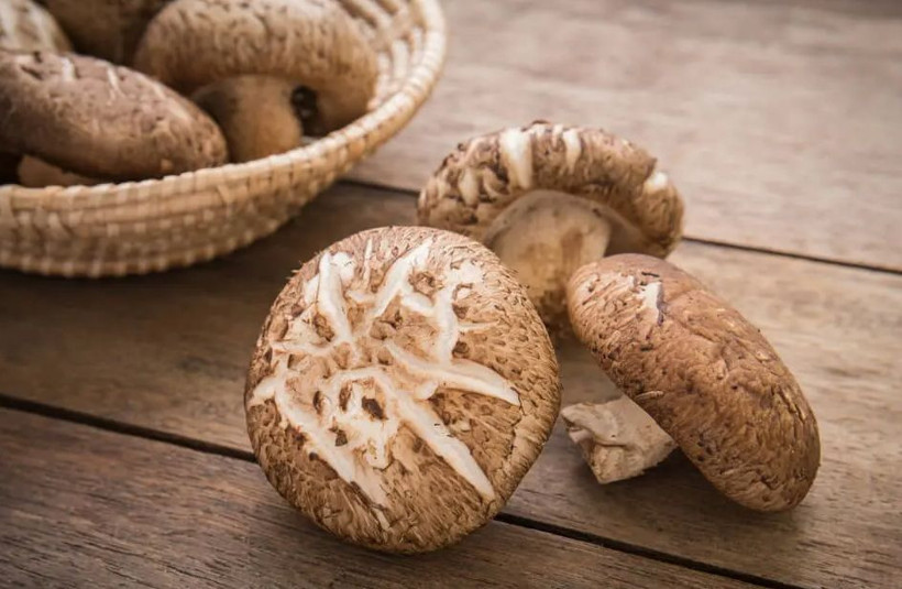 İmparatorların yiyeceği Shiitake mantarı! İnanılmaz faydaları var - Resim: 1