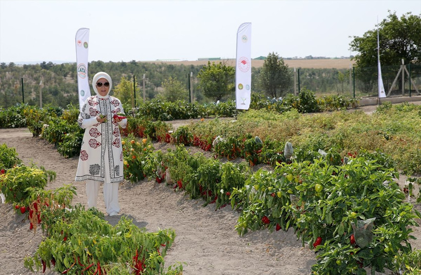 Emine Erdoğan "Ata Tohumu Projesi" tanıtım toplantısına katıldı sebzeleri kokladı - Resim: 4