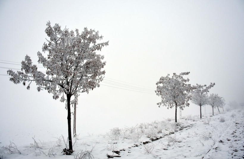 Meteoroloji yeni hafta öncesi soğuk hava alarmı! İşte il il hava durumu - Resim: 2
