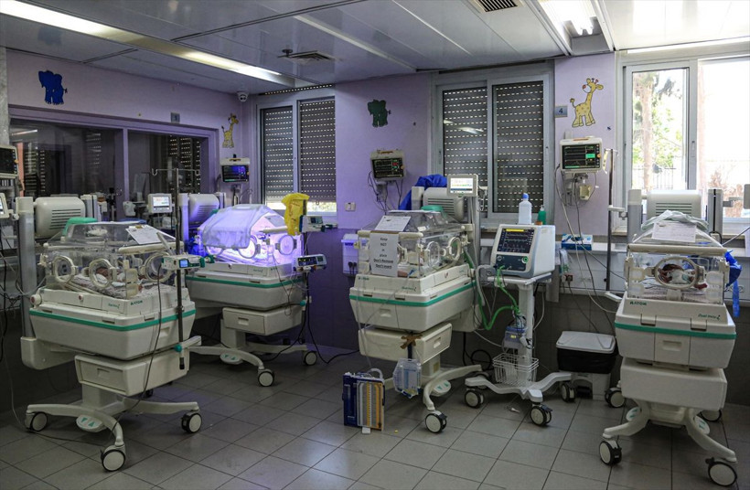 Hapishanedeki adam 'sperm kaçırma' yöntemiyle dördüz babası oldu! Fetva verilmişti... - Resim: 1