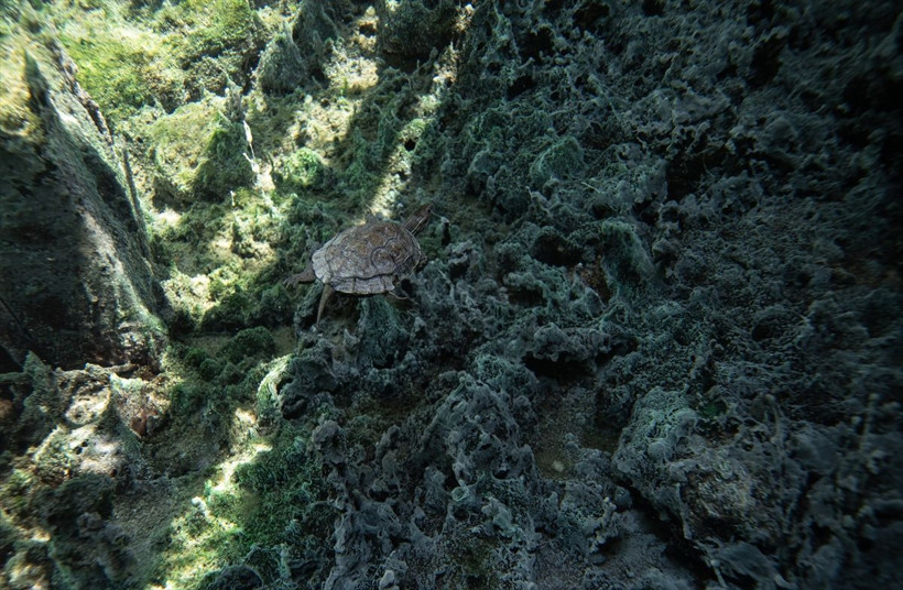 Yerin altındaki Pamukkale: İşte Kaklık Mağarası - Resim: 2
