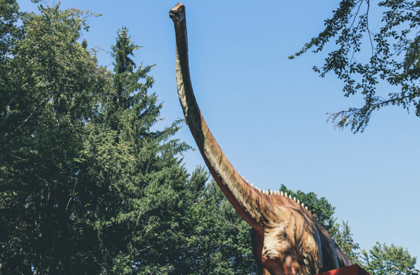 Nesli tükenen dinozorların fosil kalıntılarından iki yeni tür keşfedildi - Resim: 1