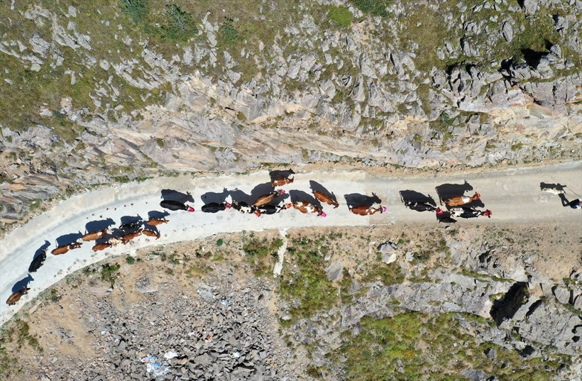 Gelin gibi süslendiler, artık geri dönüyorlar! - Resim: 13