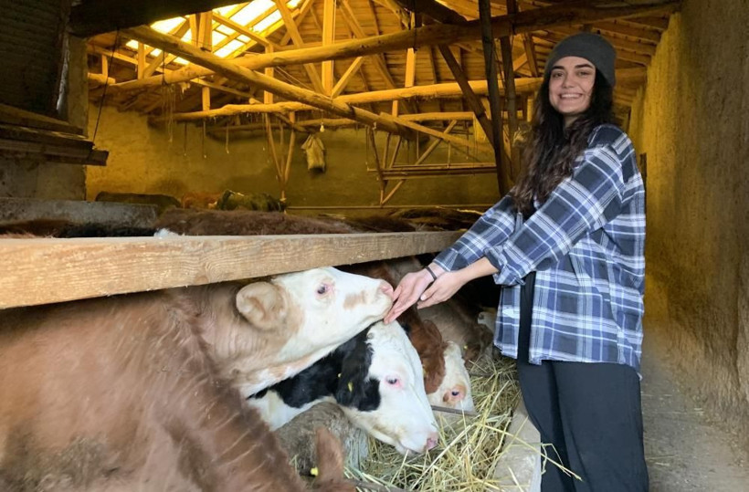 Herkes evlenmesini bekliyordu! 23 yaşında işinden istifa edip hayalleri için sütçü oldu - Resim: 1