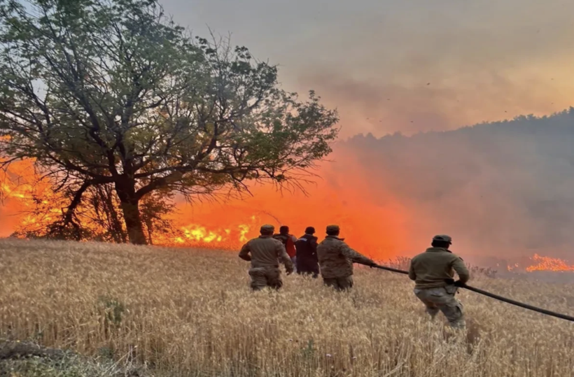Orman yangınları bilançosu belli oldu! Bakan Yerlikaya il il açıkladı - Resim: 3