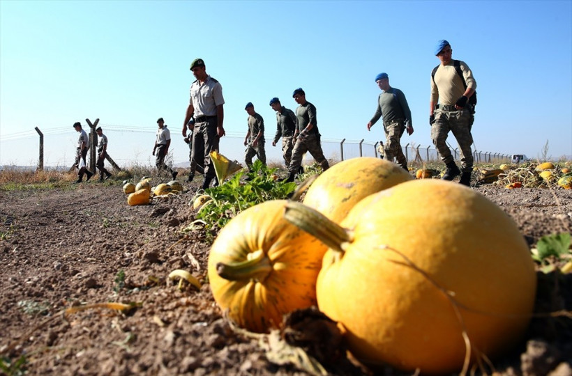 Darbeci askerler malzemelerini tarlada bırakıp kaçtı - Resim: 1