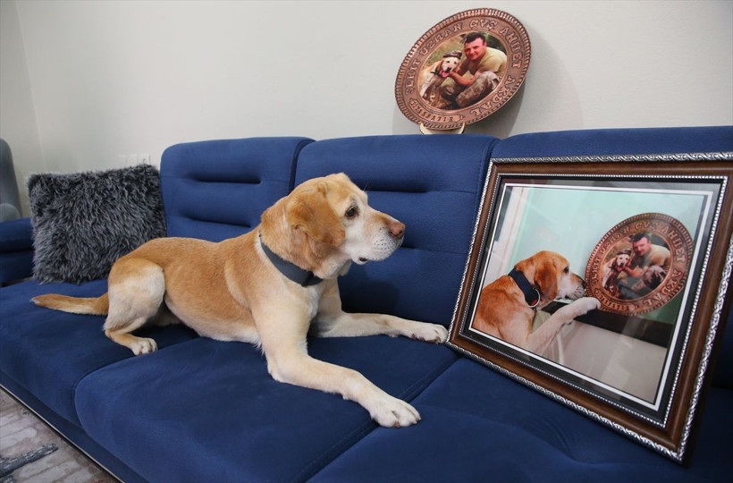 Şehit olurken yanındaydı yılın fotoğrafı seçildi 'oğullarının emaneti Atmaca' gururlandırdı - Resim: 1