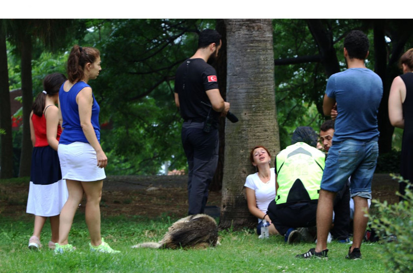 Genç kızın tek suçu bankta oturmasıydı... - Resim: 2