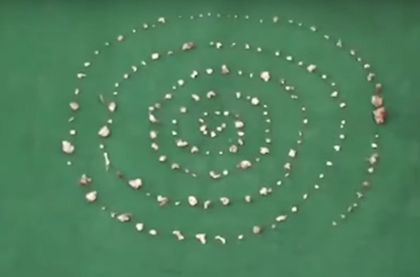 Çocuğun ağzında 526 diş bulundu tıp dünyasını şoke eden olay! - Resim: 1