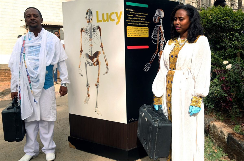 3,2 milyon yıllık kadın iskeleti sergilendi - Resim: 1