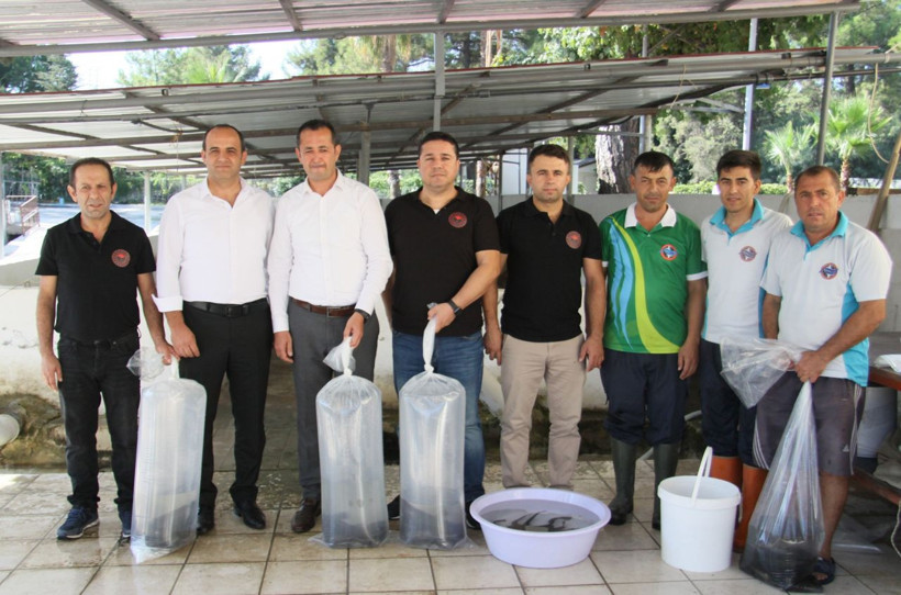 Türkiye’de ilk kez üretildi! Silurus glanis 10 milyonluk gelir getirecek - Resim: 4