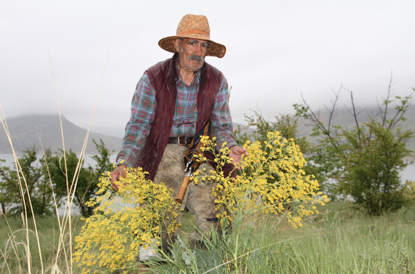 Ziya dede 4 saatlik izinde soluğu adasında aldı - Resim: 4