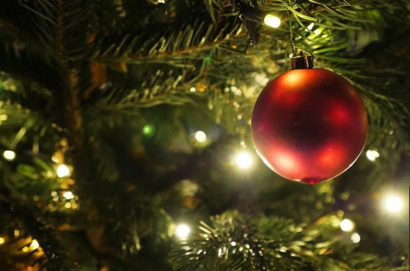 31 Aralık yılbaşı gecesi hangi ünlü nerede sahne alacak ne kadar para kazanacak? - Resim: 2