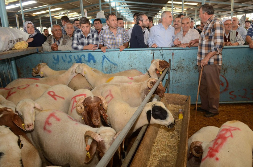 Kurban hakkında en önemli bilgi! Eti sakın dolaba... - Resim: 3