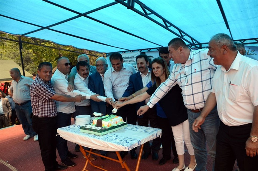 4 bin 114 yaşındaki ağaca doğum günü pastası - Resim: 4