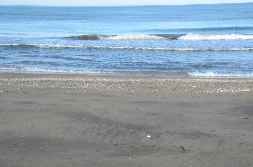 Ordu Ünye'de bulunan manyetik siyah kum bir çok hastalığa şifa! - Resim: 2