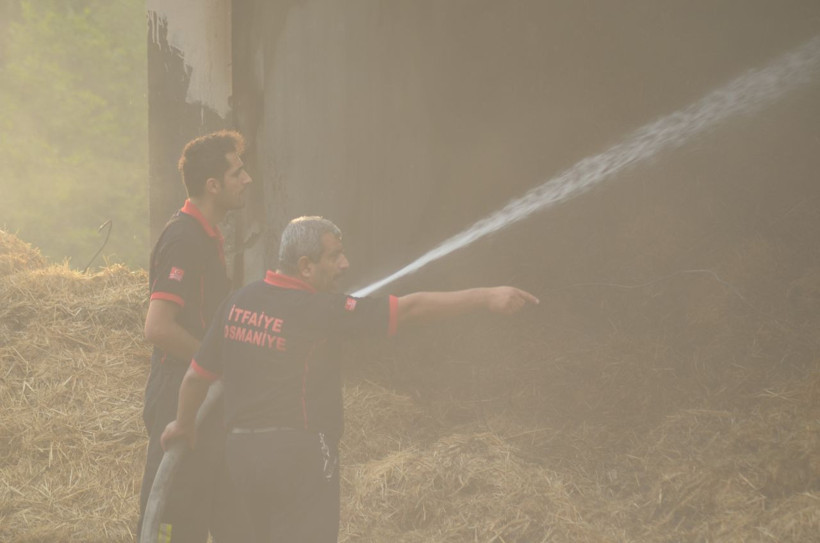 Osmaniye'de gençlerin mangal keyfi kötü bitti - Resim: 3