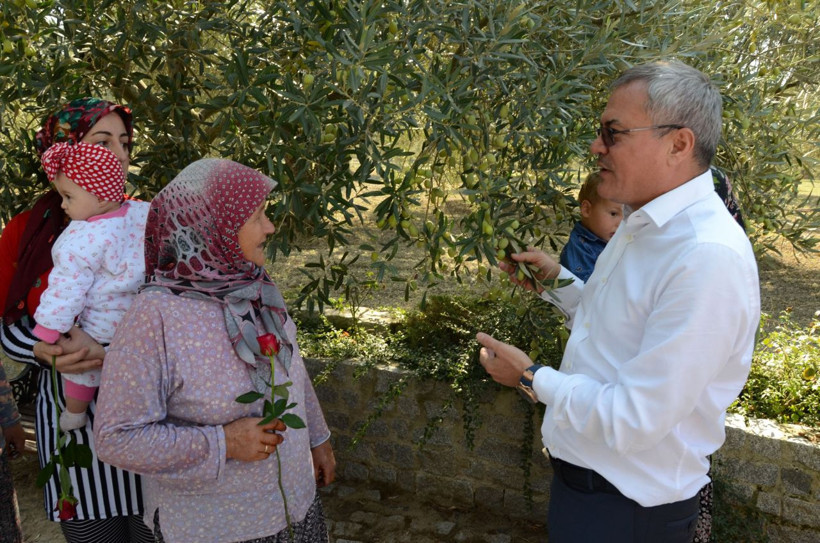 Türkiye'nin en yaşlı ağacı! Hasat yapıldı - Resim: 4