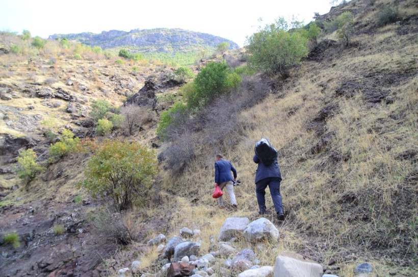 Bitlis'te uçurumdan düşen 315 koyun telef oldu - Resim: 2