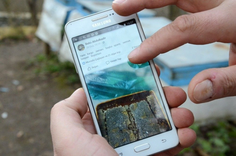 'Benim arılarım beni tanır' deyip yarı çıplak arıların arasına daldı - Resim: 3