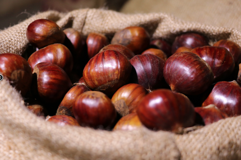 Adana'da kestane kebap tezgahları kuruldu! Fiyatı kırmızı eti solladı - Resim: 4
