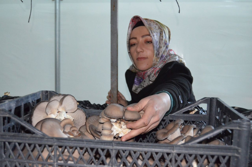 Aksaray'da köyüne döndü tesisi kurdu şimdi asgari ücretin üstünde para kazanıyor - Resim: 2