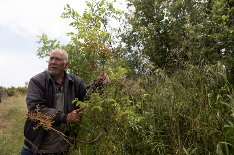 Mersin'de 15 yıldır mağarada yaşayan Zekai amcanın ders niteliğindeki sözleri - Resim: 3