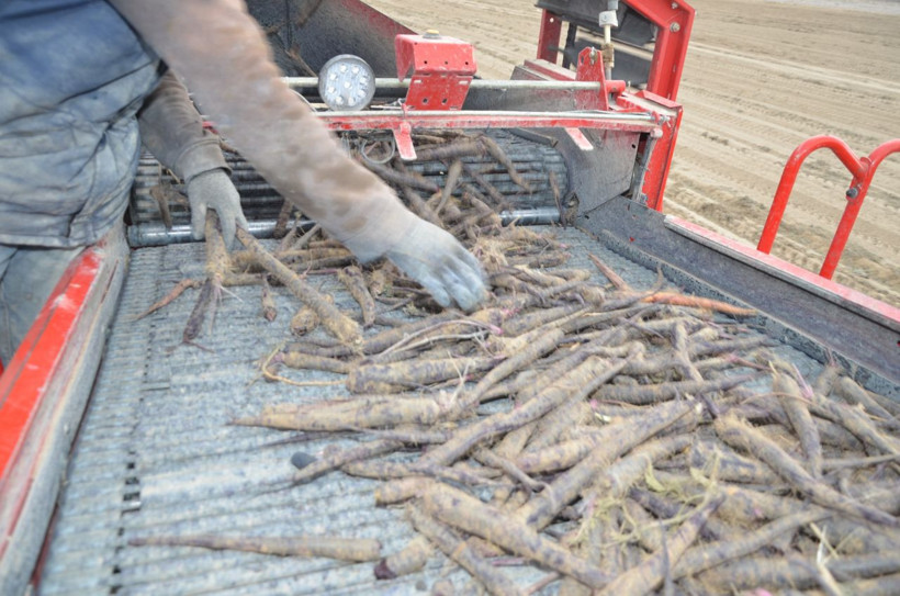 Konya'da pandemi etkilemedi! Talep patladı 35 ülke sıraya girdi - Resim: 3