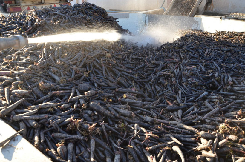 Konya'da pandemi etkilemedi! Talep patladı 35 ülke sıraya girdi - Resim: 4